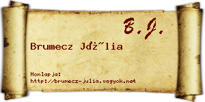 Brumecz Júlia névjegykártya